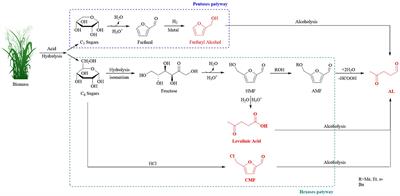 Current Approaches to Alkyl Levulinates via Efficient Valorization of Biomass Derivatives